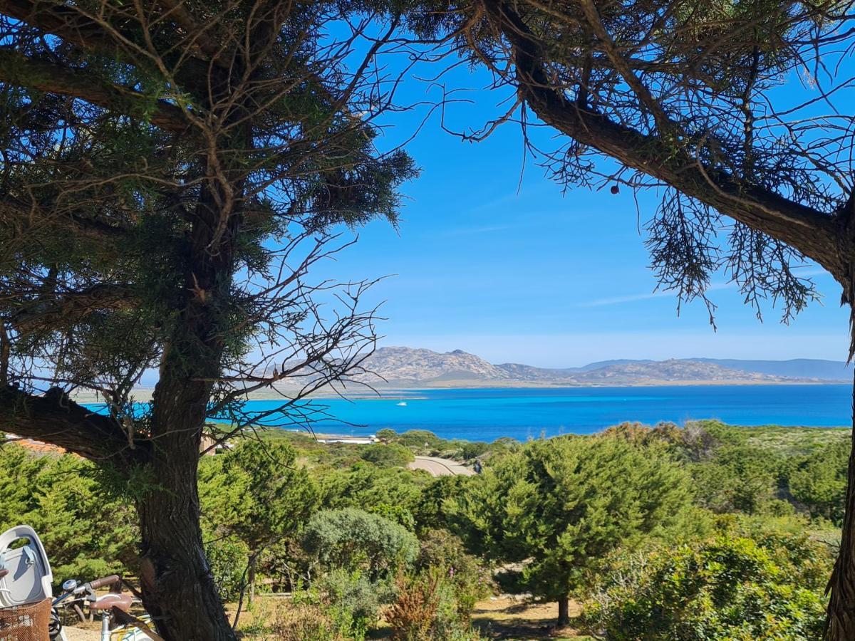 Villa Boat - In Front Of The Sea Stintino Bagian luar foto